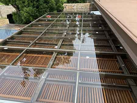 Fazenda Dona Carolina